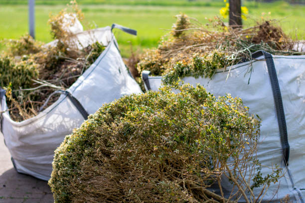 Best Same-Day Junk Removal Services  in Jackson, WI