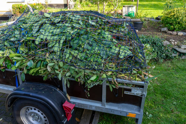 Best Scrap Metal Removal  in Jackson, WI